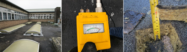Visual roof surveys